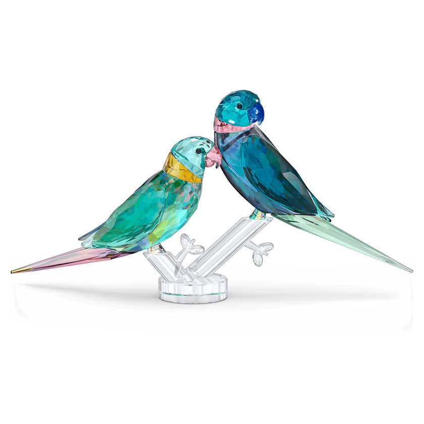 swarovski jungle beats parakeet couple fife   fifer