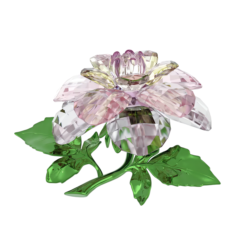 swarovski florere camellia