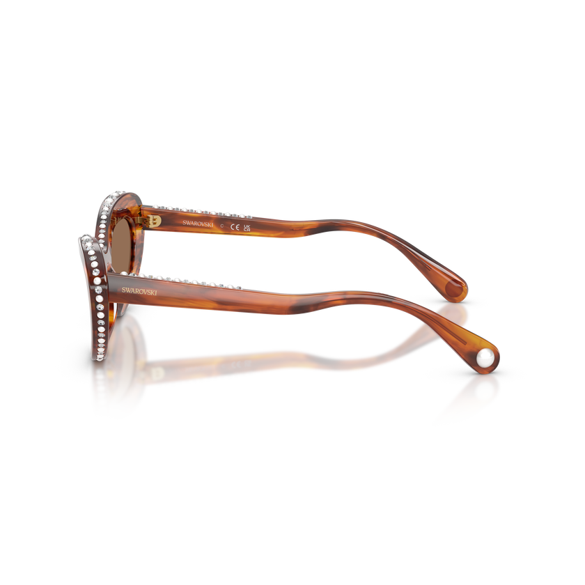 swarovski sunglasses  cat eye shape  sk6061u  brown