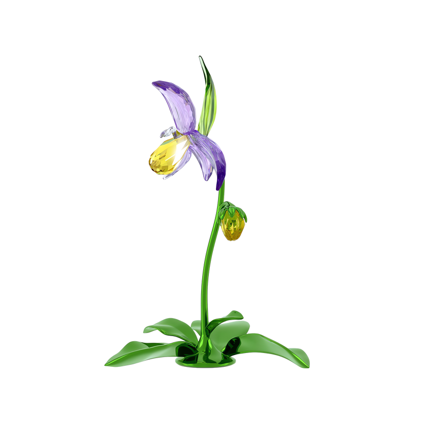 swarovski florere lady slipper orchid