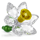 swarovski مجسم زهرة النرجس من مجموعة florere