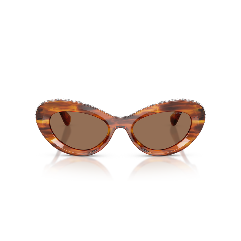 swarovski sunglasses  cat eye shape  sk6061u  brown