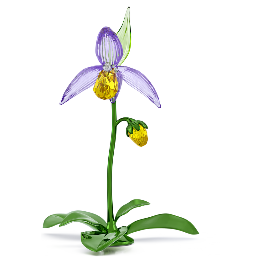 swarovski florere lady slipper orchid