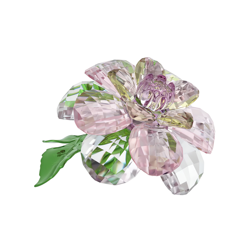 swarovski florere camellia