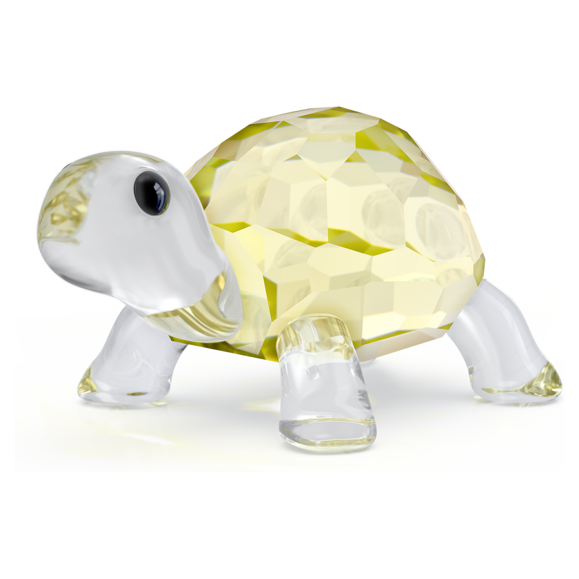 swarovski idyllia baby tortoise