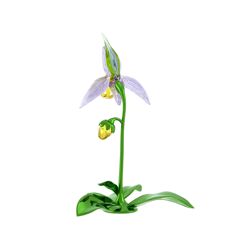 swarovski florere lady slipper orchid
