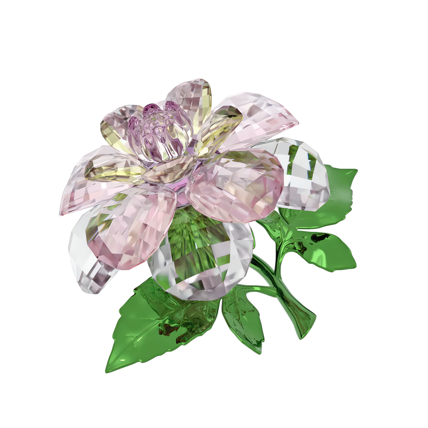 swarovski florere camellia