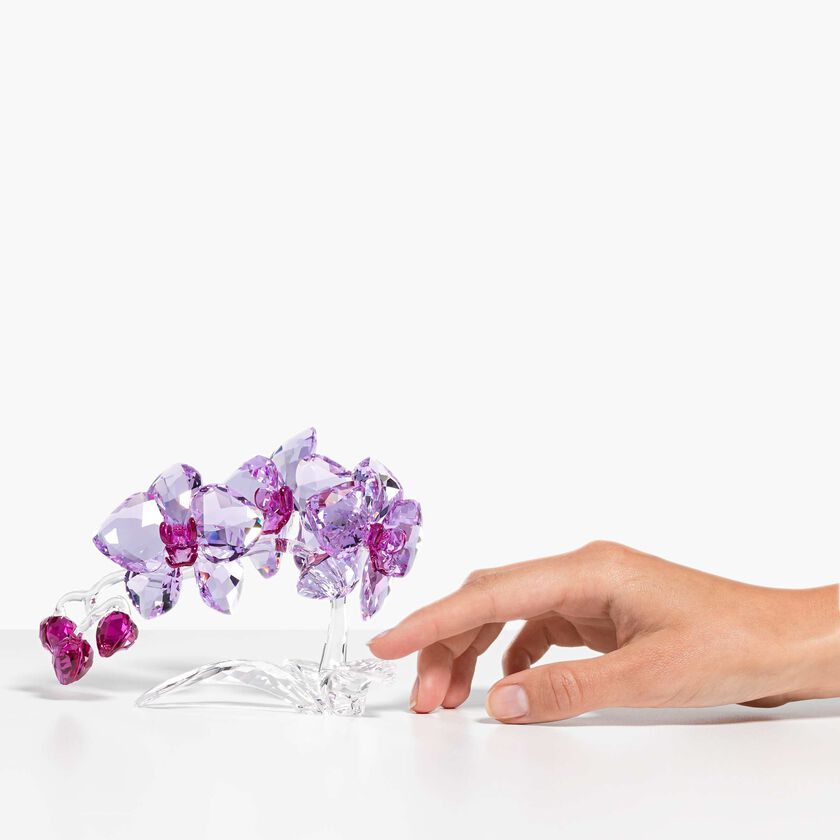 swarovski قطعة زينة على شكل زهور أوركيد كريستال