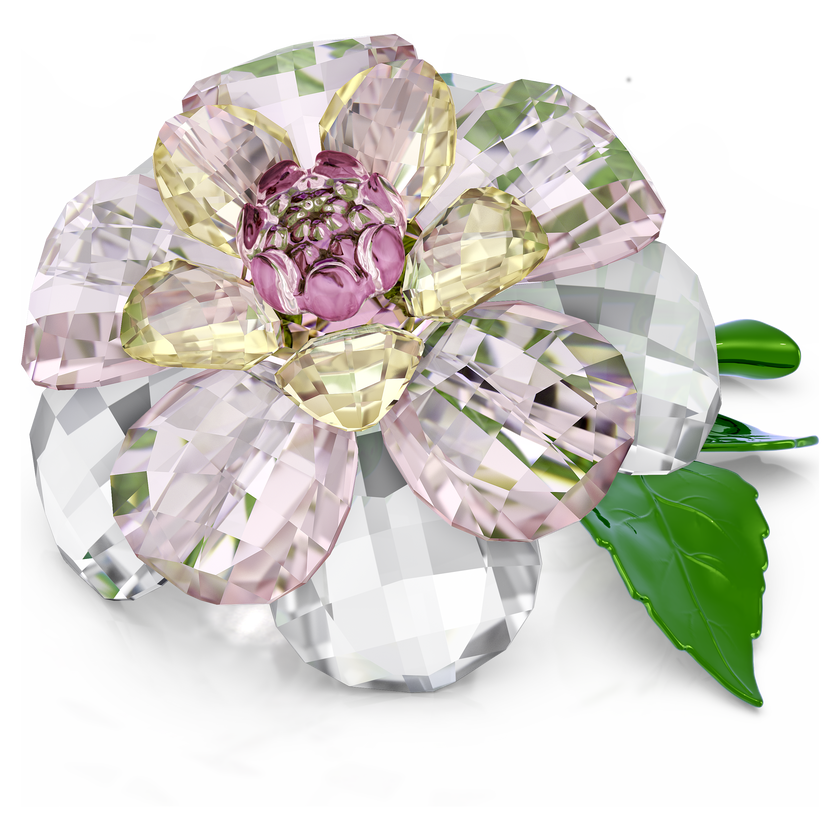 swarovski florere camellia